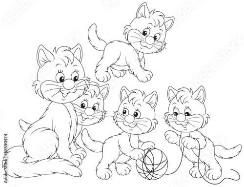 Little kittens playing