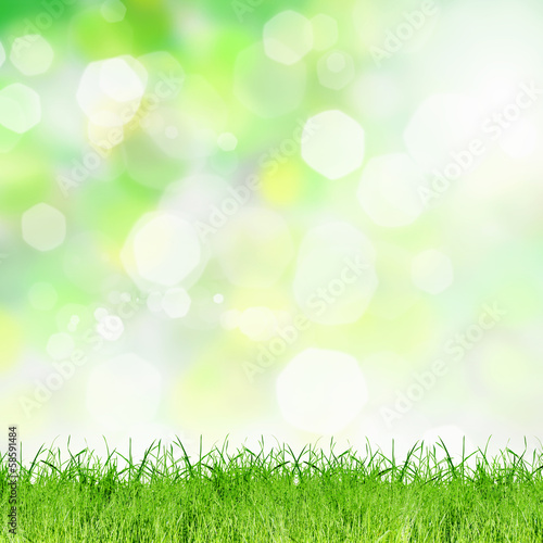 Bokeh image
