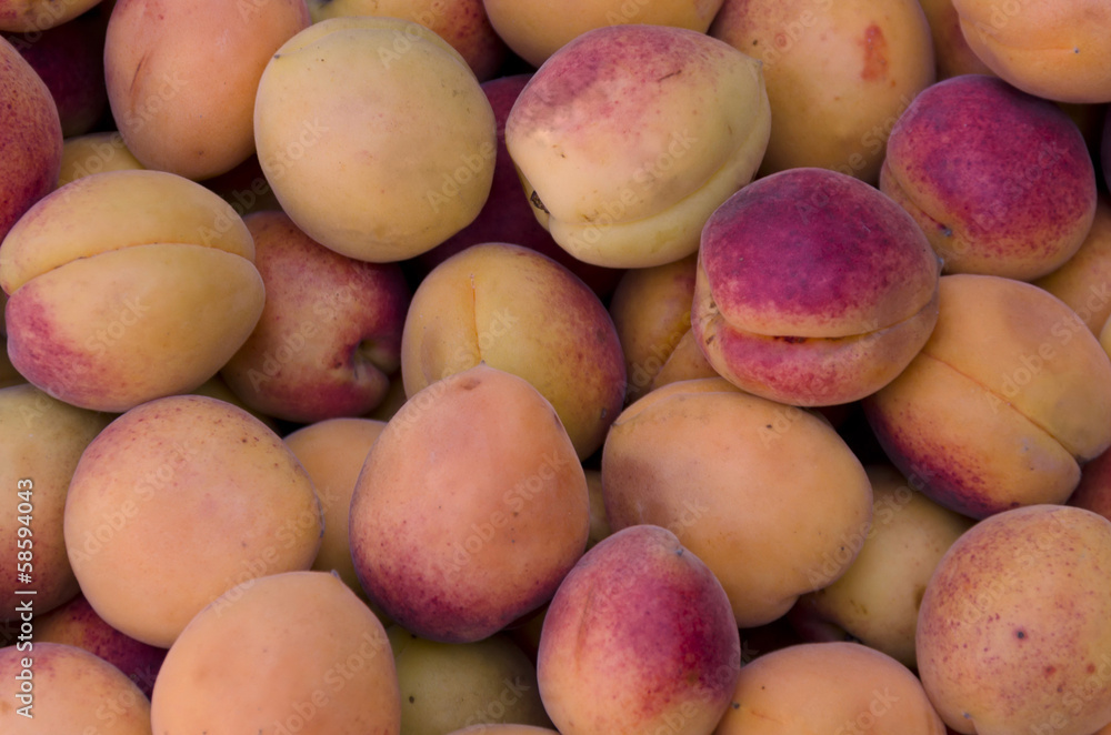 Group of much fresh ripe apricot fruits Group of much fresh ripe apricot fruits