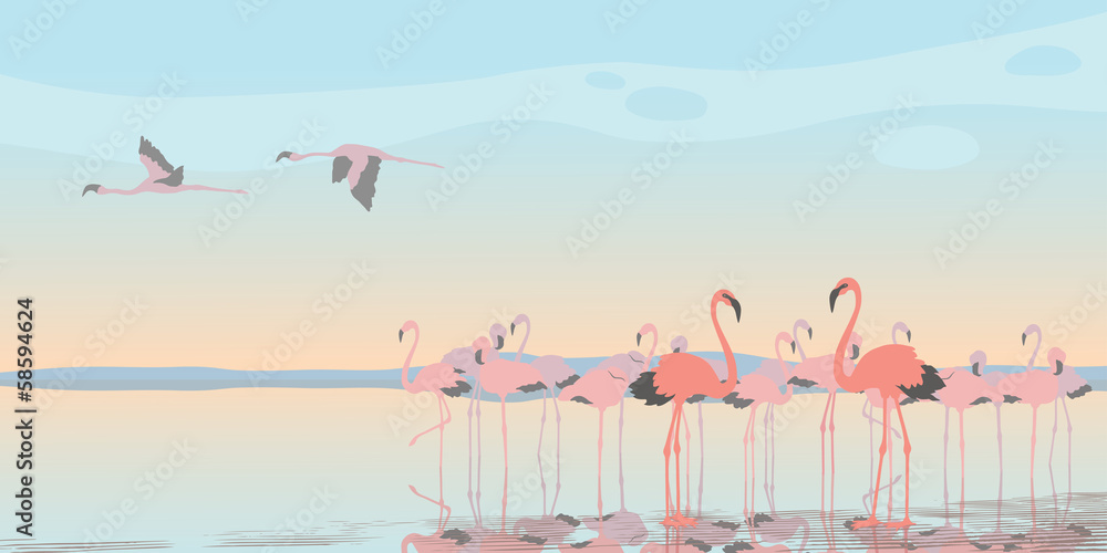 Naklejka premium Pink Flamingos