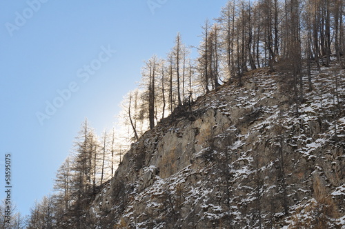 parc du Mercantour photo