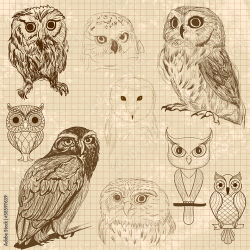 Set of retro owl sketches