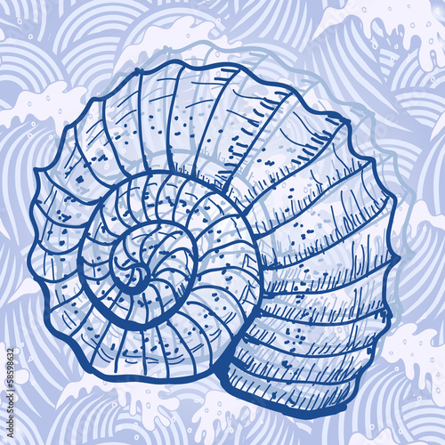 Sea shell