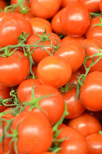 rayon tomates
