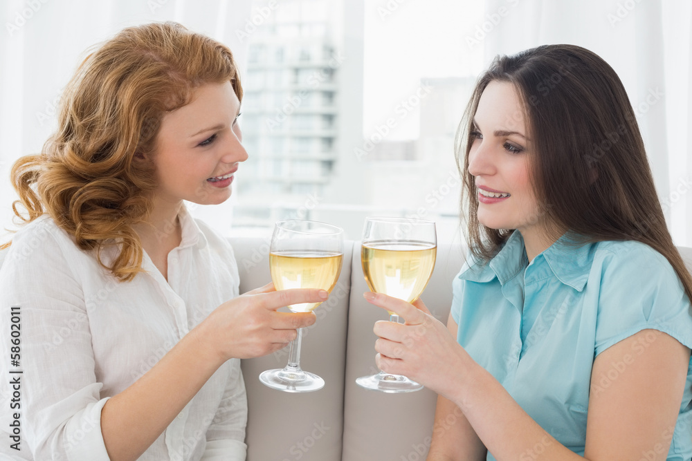 Female friends toasting wine glasses at home Female friends toasting wine glasses at home