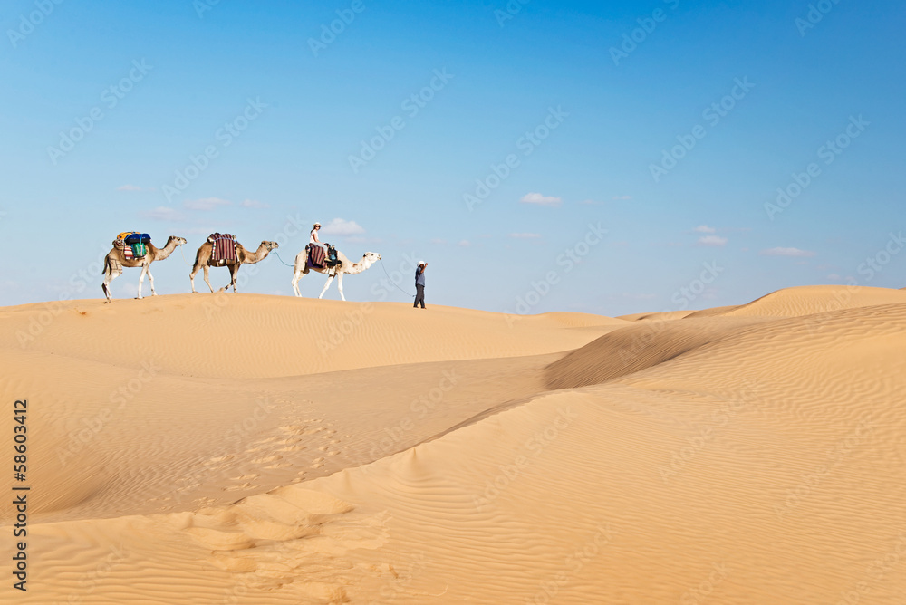Méharée dans le Grand Erg Oriental - Tunisie Méharée dans le Grand Erg Oriental - Tunisie