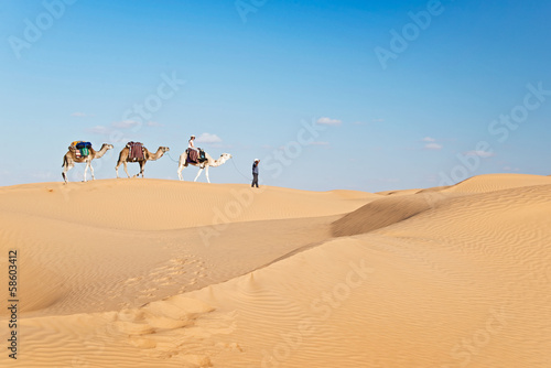 Méharée dans le Grand Erg Oriental - Tunisie © Delphotostock