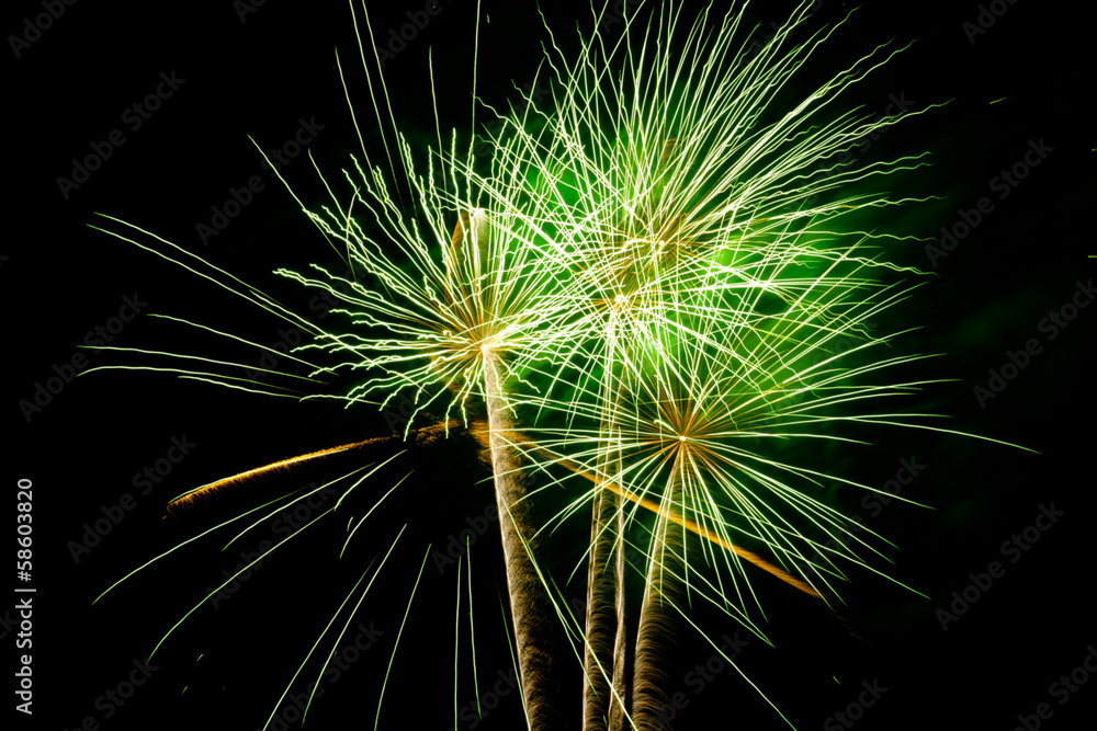 Colorful fireworks on the black sky