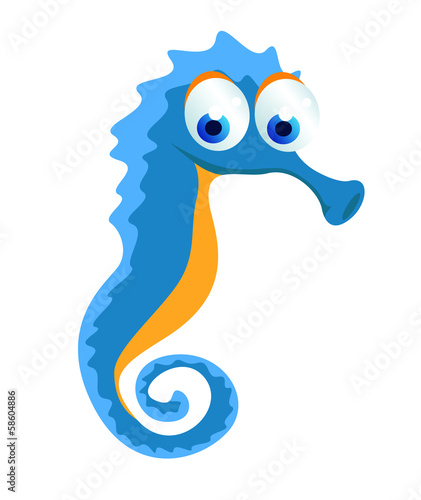 seahorse cartoon