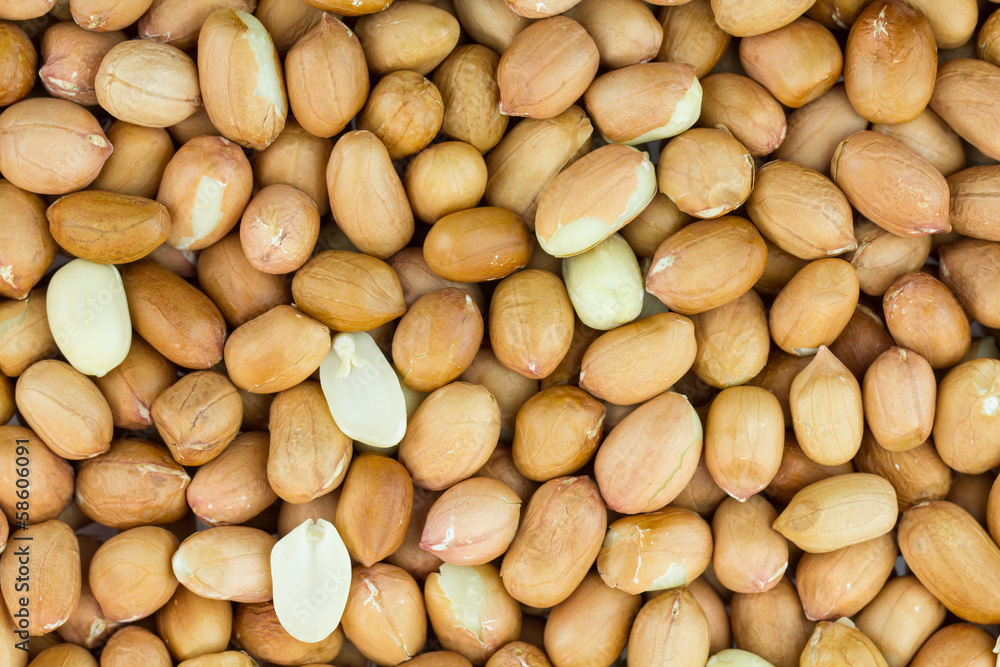 Peanut background, Arachis hypogaea Peanut background, Arachis hypogaea
