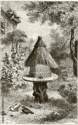 Beehive