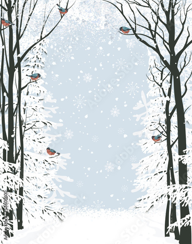 Winter frame composition with trees on sides
