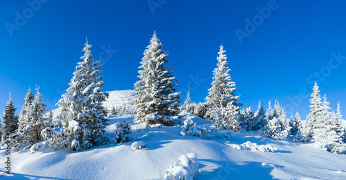Morning winter mountain landscape (Carpathian, Ukraine).
