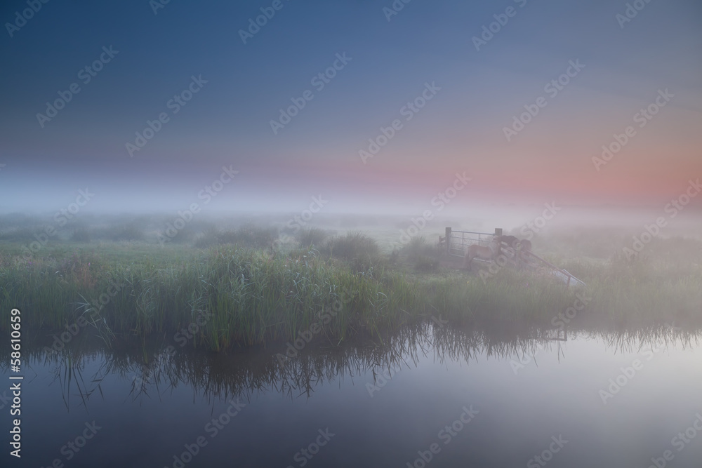 tranquil foggy morning in Dutch farmland