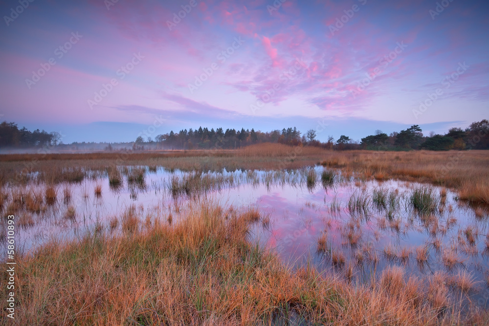 autumn sunrise over swamp Poepedobbe autumn sunrise over swamp Poepedobbe