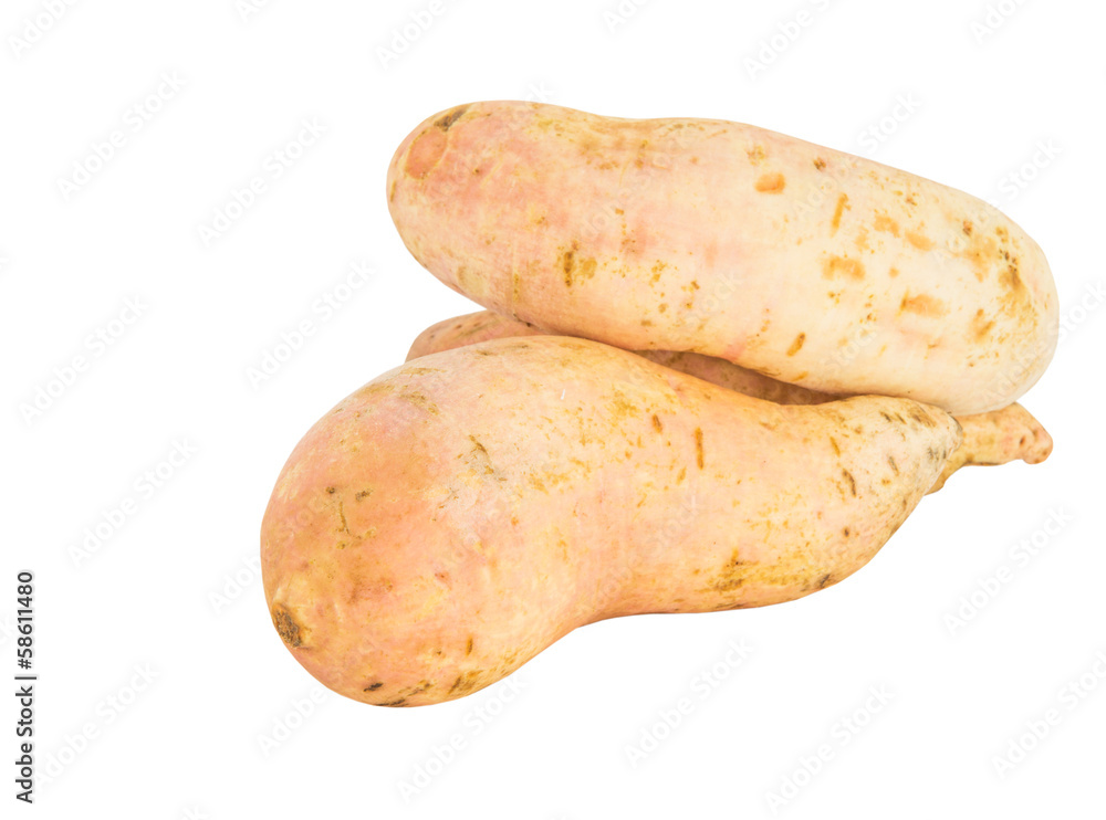 Sweet Potato over white background Sweet Potato over white background