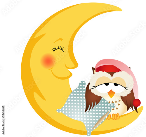 Good night owl sitting on a moon