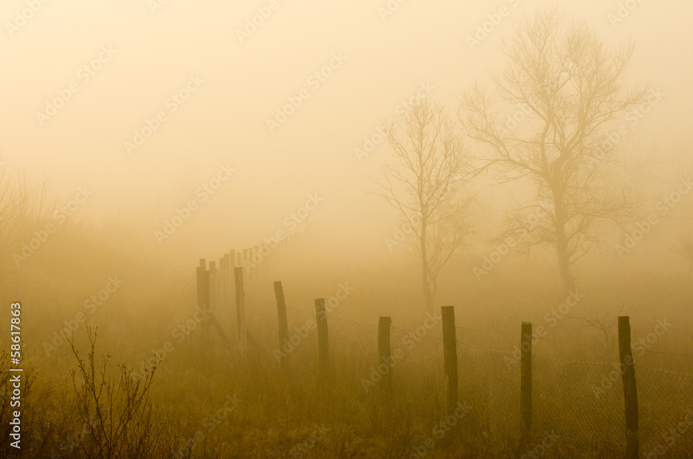 Plain landscape with fence on foggy morning