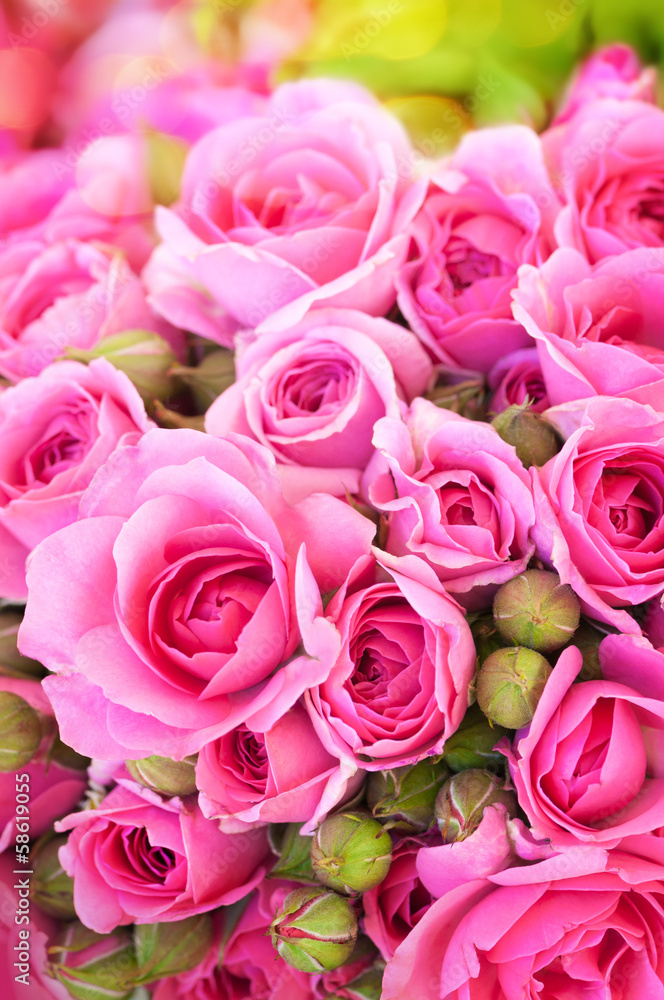 Rosen, Blumenstrauß, Alles Liebe, Blumen schenken Rosen, Blumenstrauß, Alles Liebe, Blumen schenken