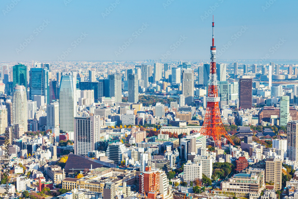 Fototapeta premium Tokio w Japonii