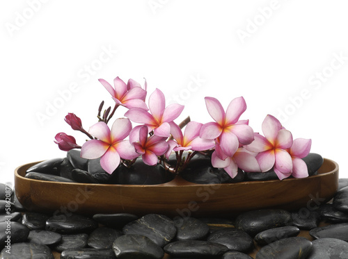Still life with branch frangipani in bowl with pile stones