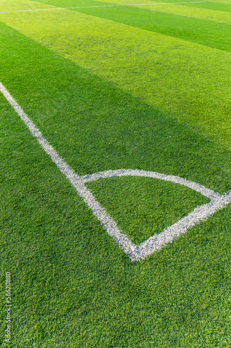 Soccer field grass with white line