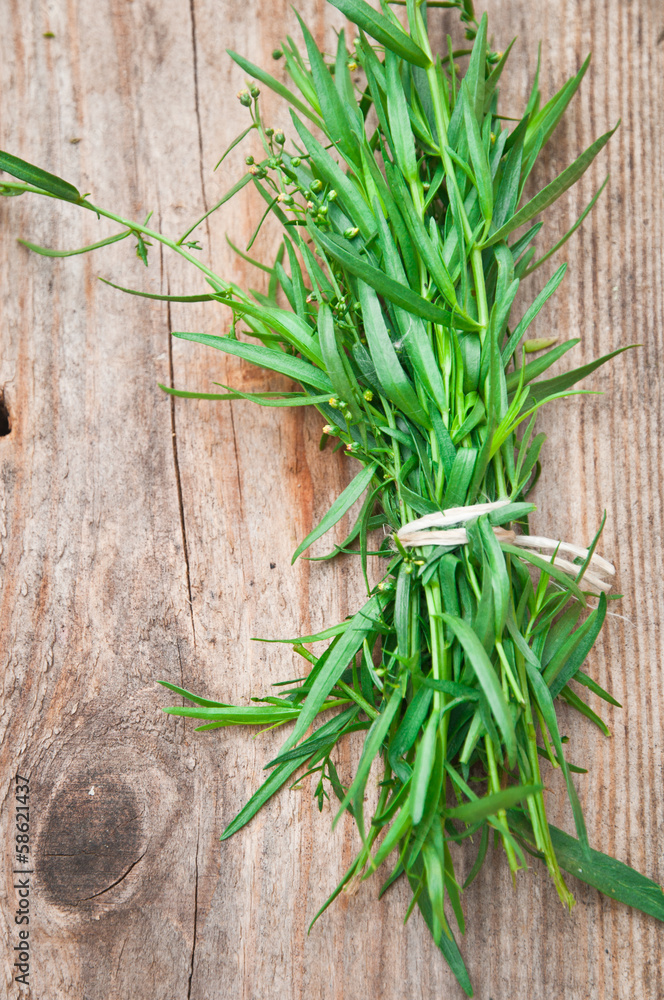 Fresh tarragon Fresh tarragon