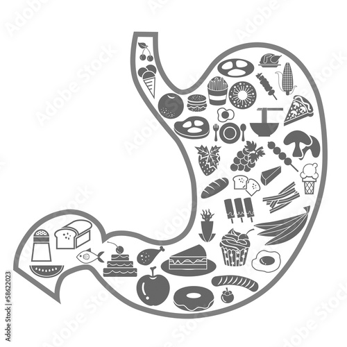 Stomach full of fast food