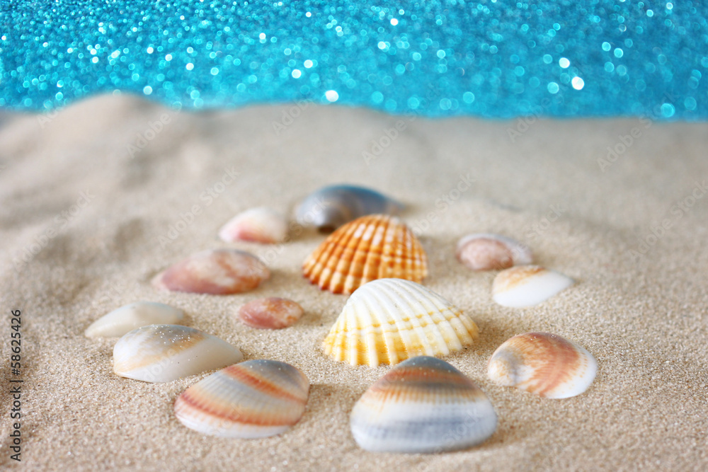 seashells on sand and defocused background seashells on sand and defocused background
