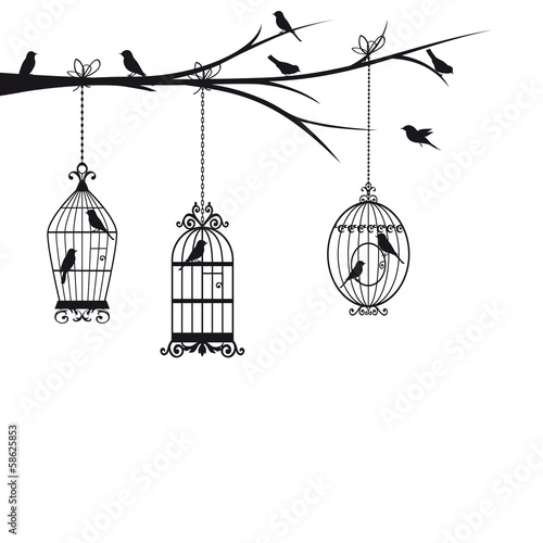 Birds in cage birds