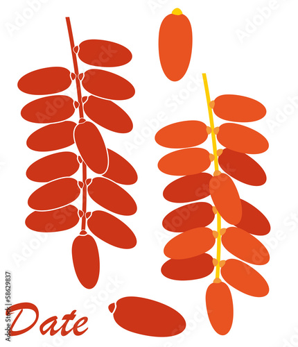 Date. Fruit