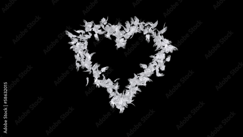 Heart of feathers Heart of feathers