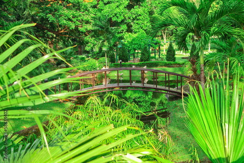 Foto Steel bridge cross rill in garden