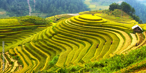 Rice fields Mu Cang Chai, Vietnam #58634880