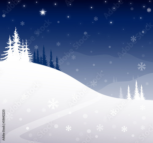 Winter Night Landscape - Vector