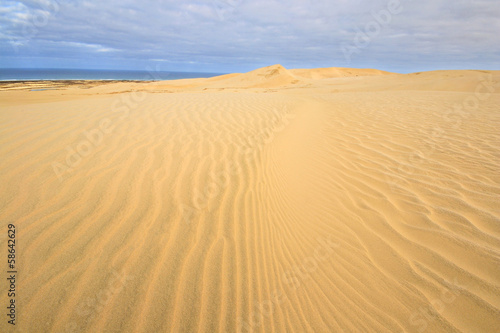 The scenic sand dunes in Te Paki region
