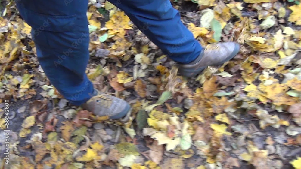 Follow man legs walk between colorful autumn leaves Follow man legs walk between colorful autumn leaves