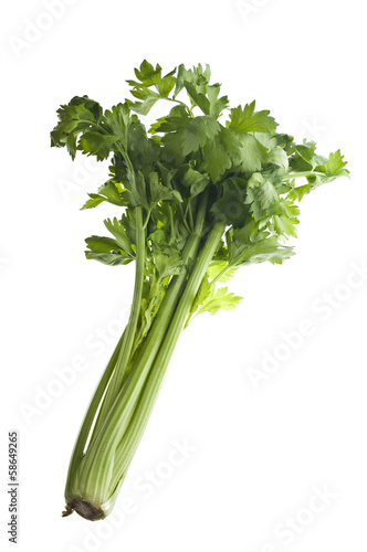 Stalk of celery