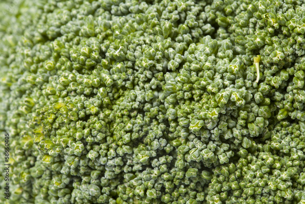 Broccoli Broccoli