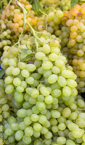 group of organic green and yellow grapes