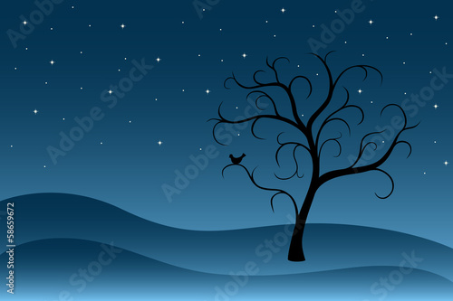 Baum unter Sternenhimmel © GabiWolf
