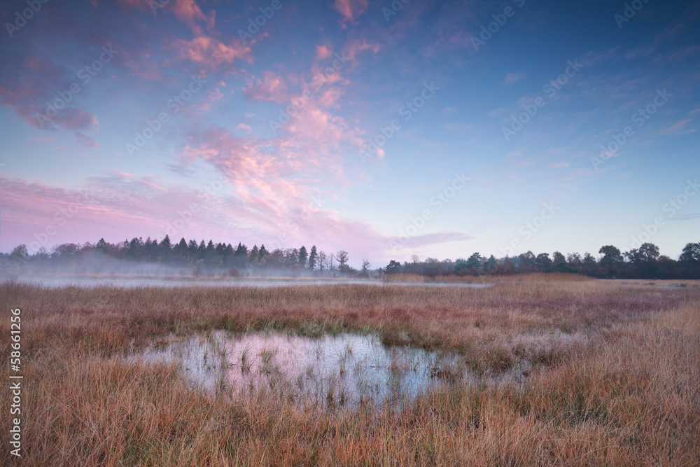 Fototapeta premium misty autumn sunrise over swamp