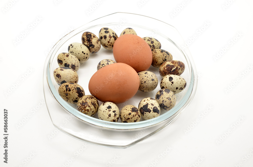 different eggs in glass bowl different eggs in glass bowl