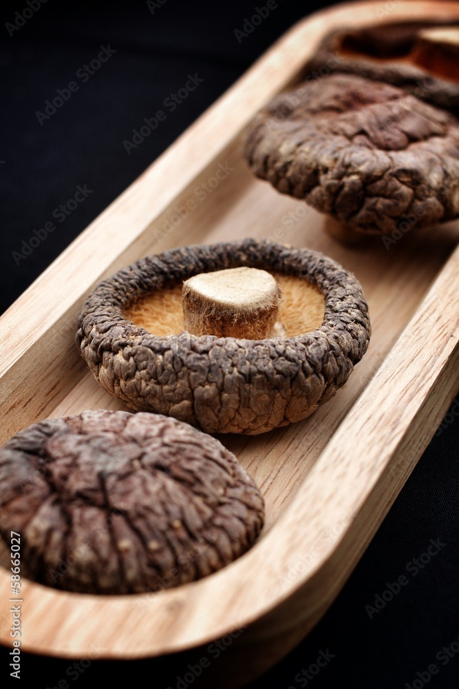 Fototapeta premium shiitake mushroom