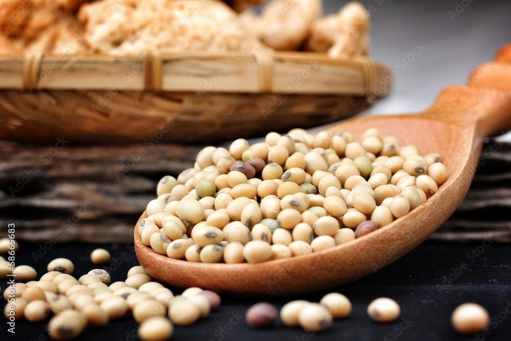 Soy protein Soy protein
