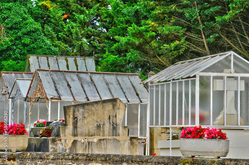 France, cemetery of Saint Vincent le Paluel in Perigord photo