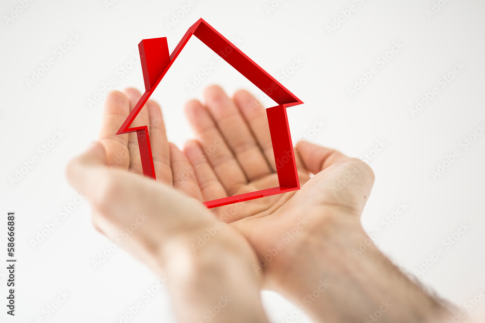Naklejka premium house hand care