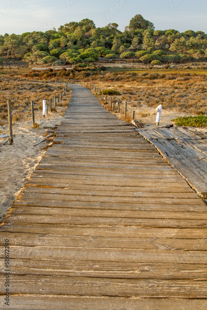 Obraz premium sunset scenic view of a wooden walkway