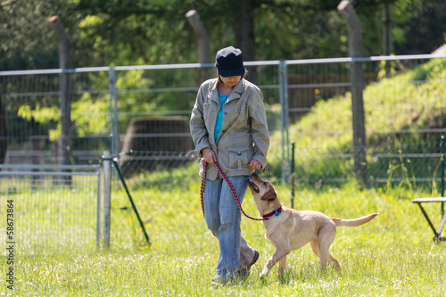 junger Hund lernt an der Leine zu laufen