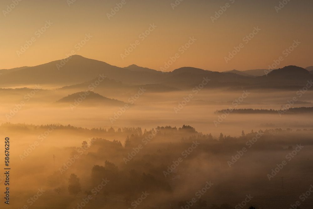 Fototapeta premium Landscape in the Mist